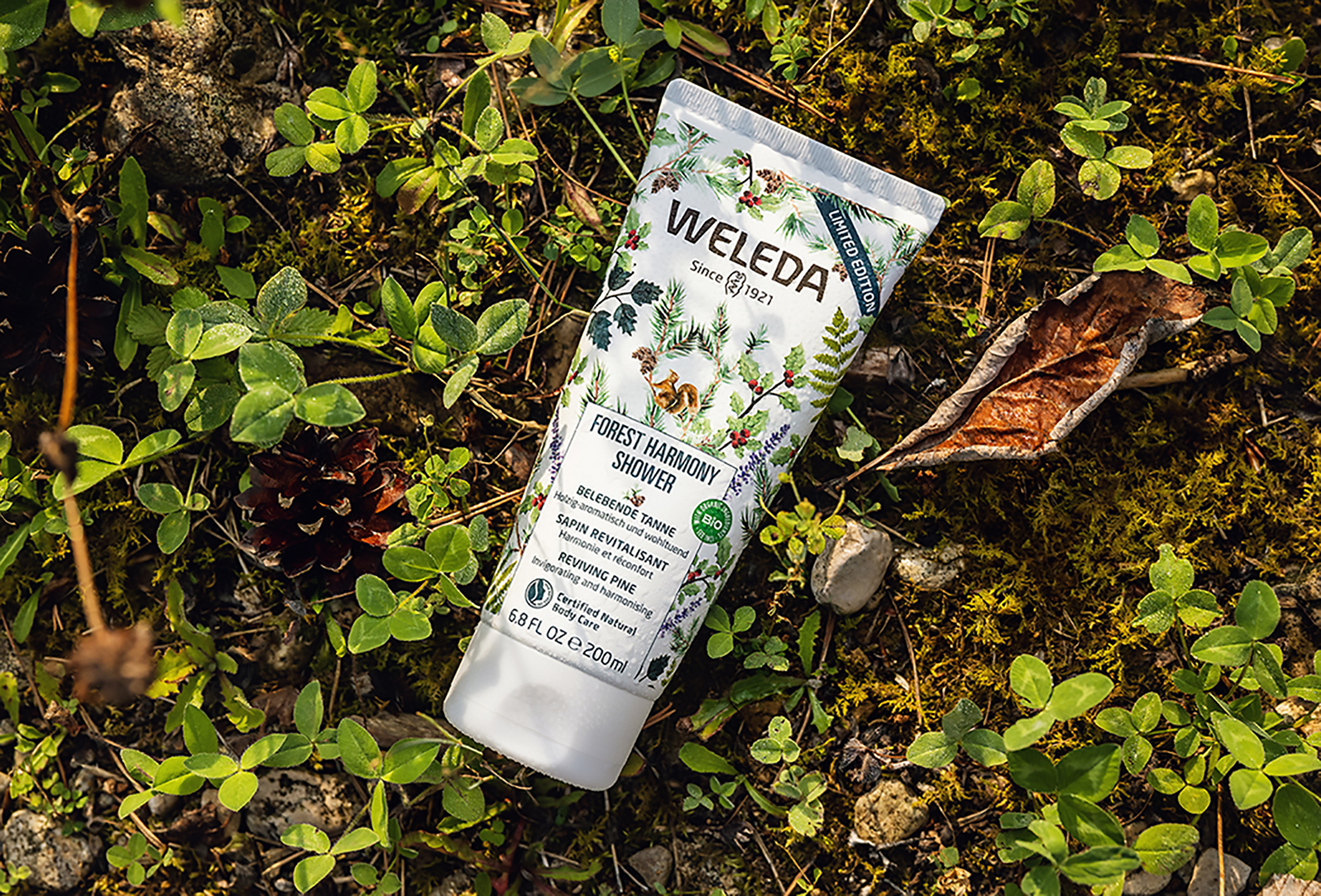 Belebend wie ein Waldspaziergang: Weleda Forest Harmony Shower