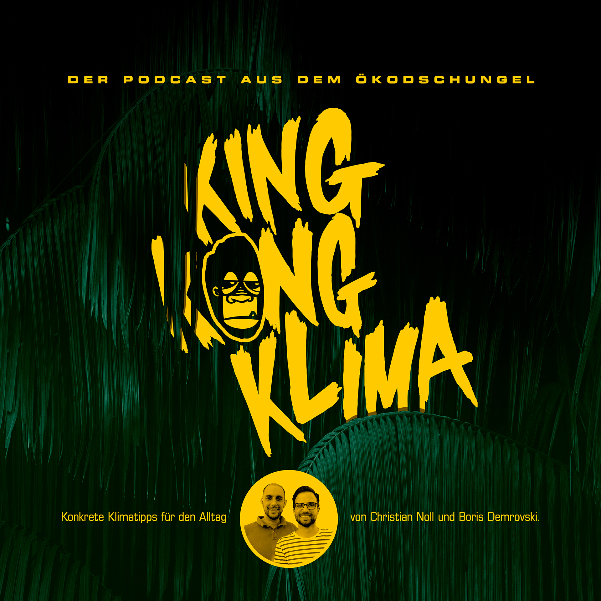 King Kong Klima - Konkrete Klimatipps für den Alltag