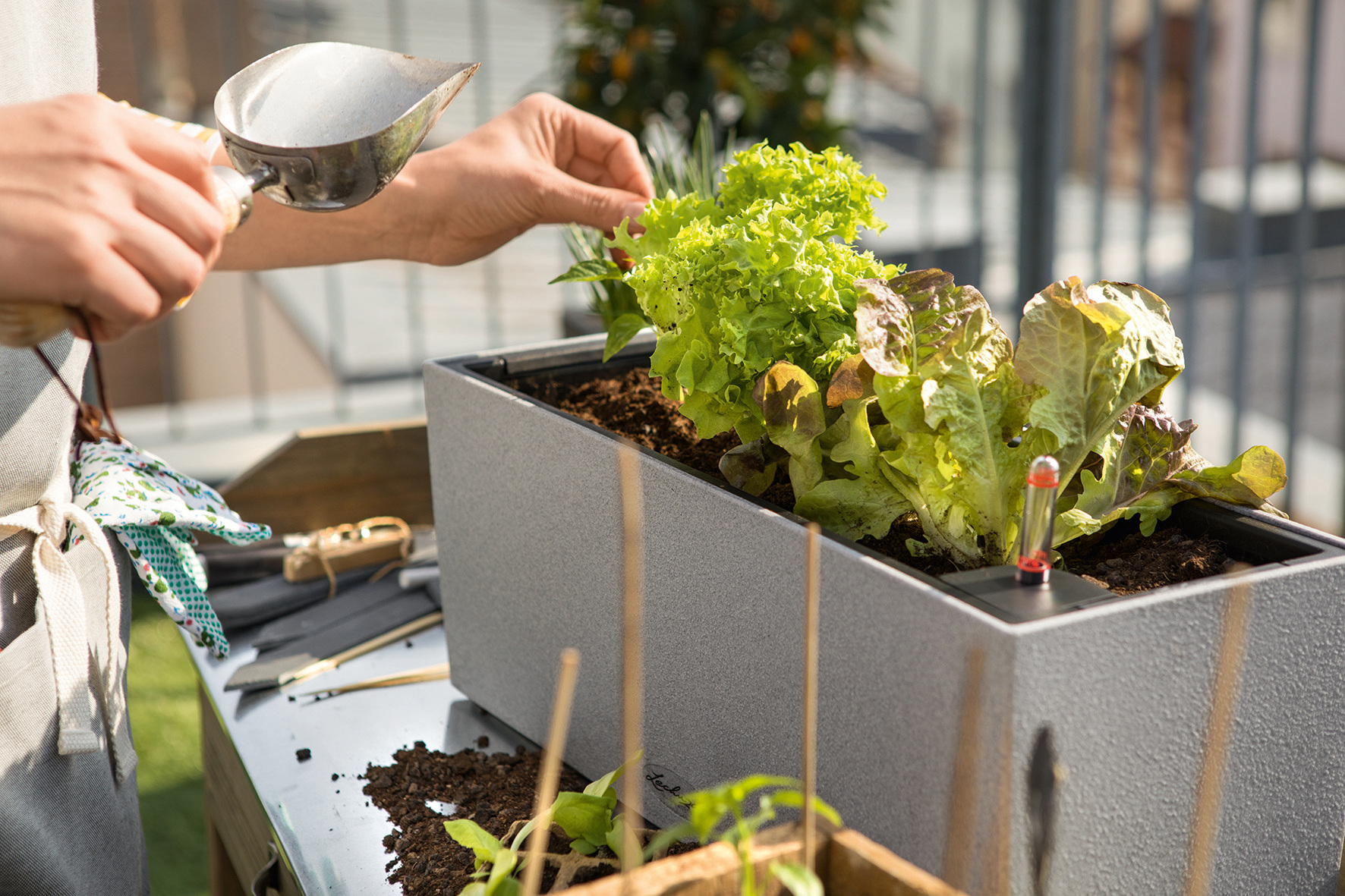 »Salatbeet« in BALCONERA Stone