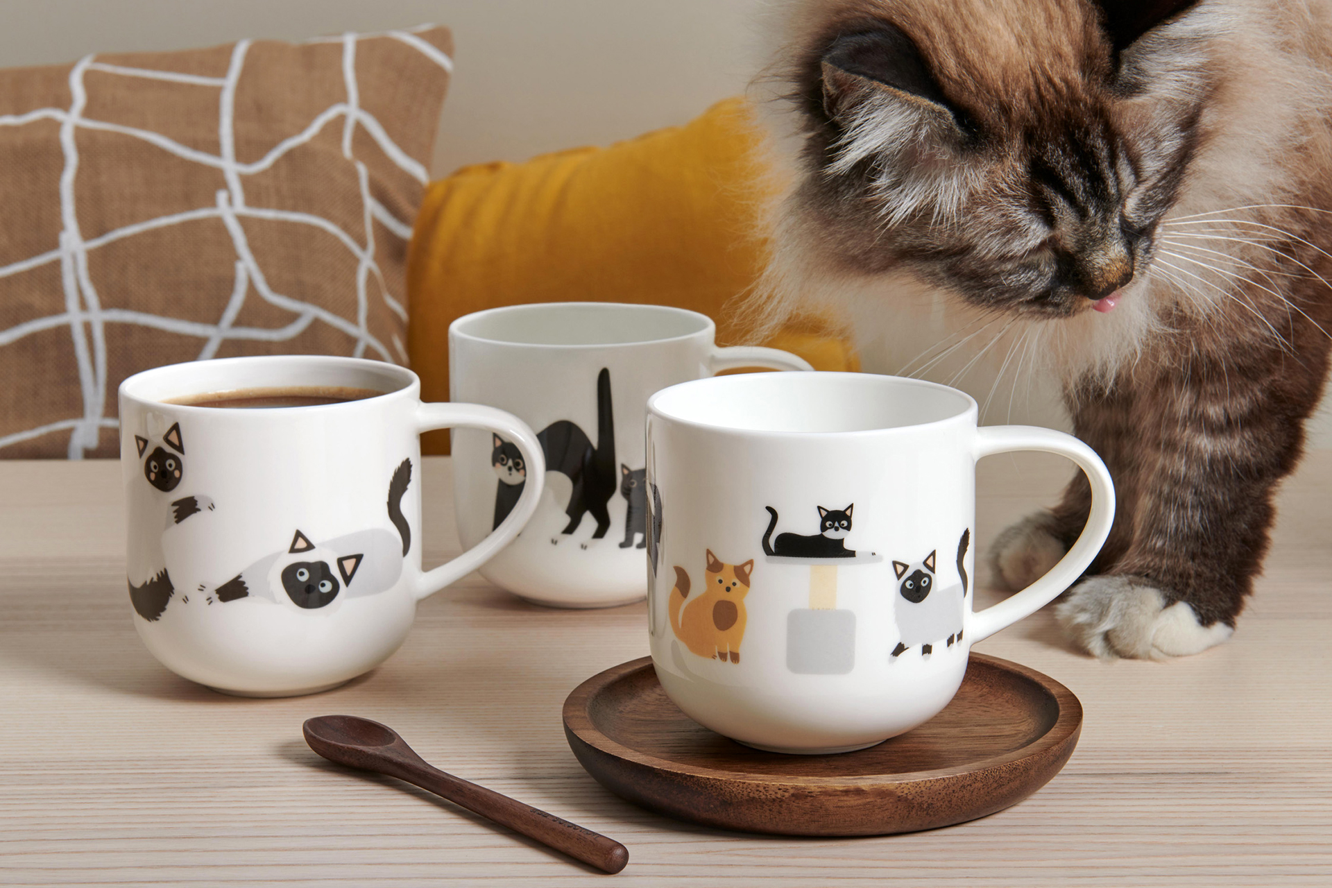 ASA SELECTION COPPA CATS & DOGS