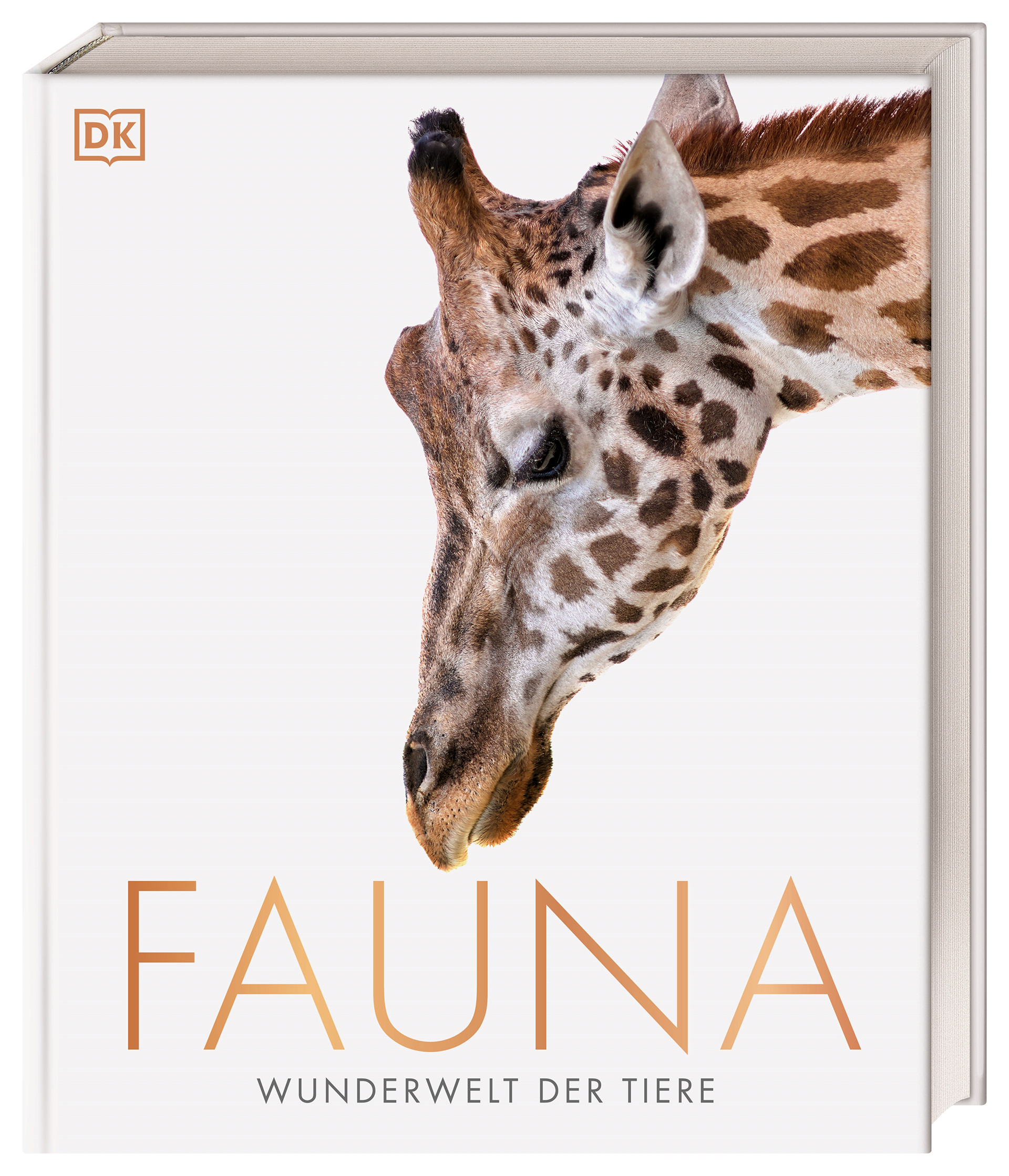 Fauna – Wunderwelt der Tiere