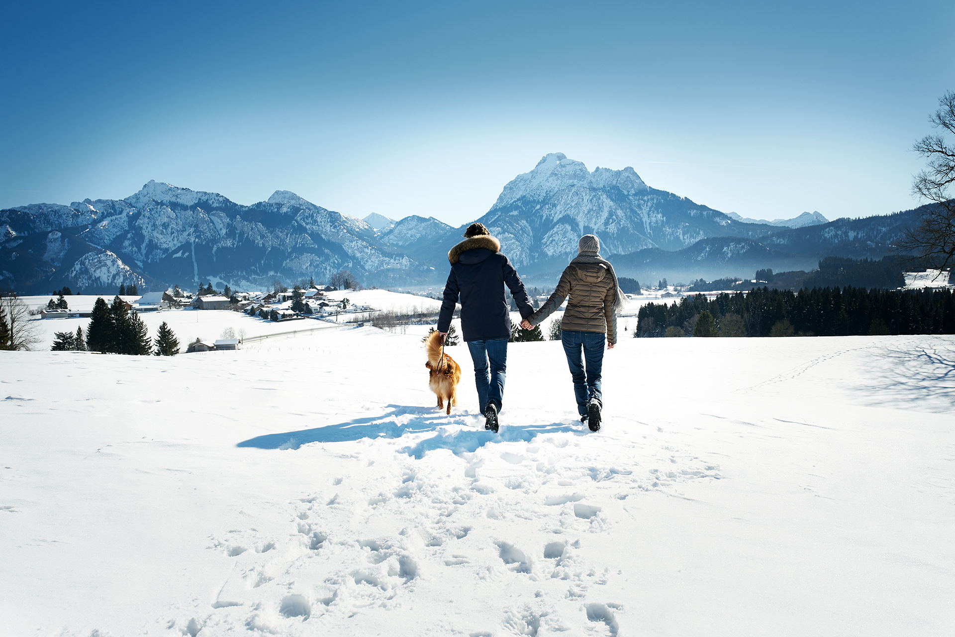 Winterwandern am Hopfensee gehört zu den schönsten Aktivitäten im Allgäu – natürlich mit Hund!