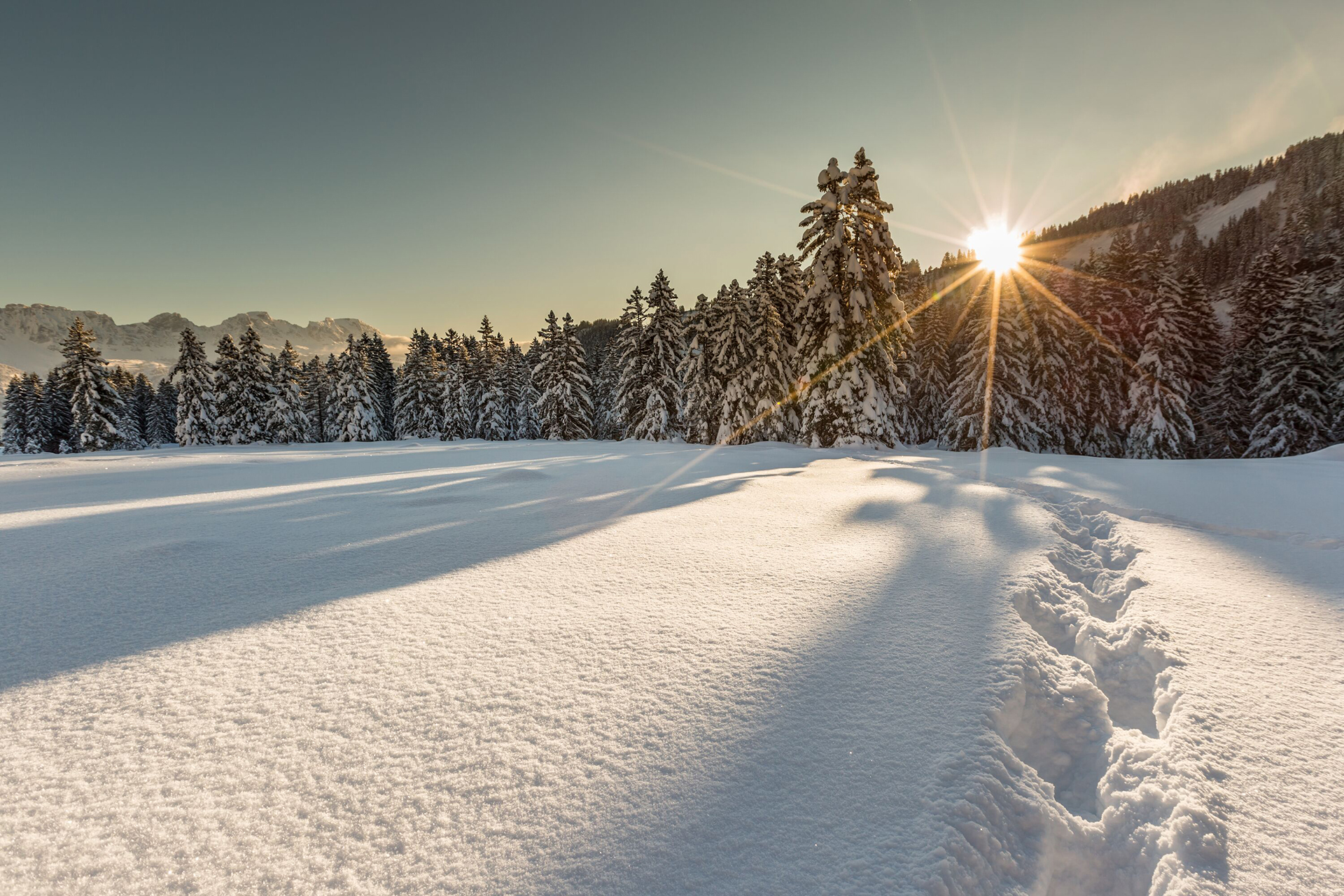 Wer es weniger sportlich angehen mag, genießt einfach die herrliche Winterlandschaft am Flumserberg | Foto: Thomas Kessler Visuals